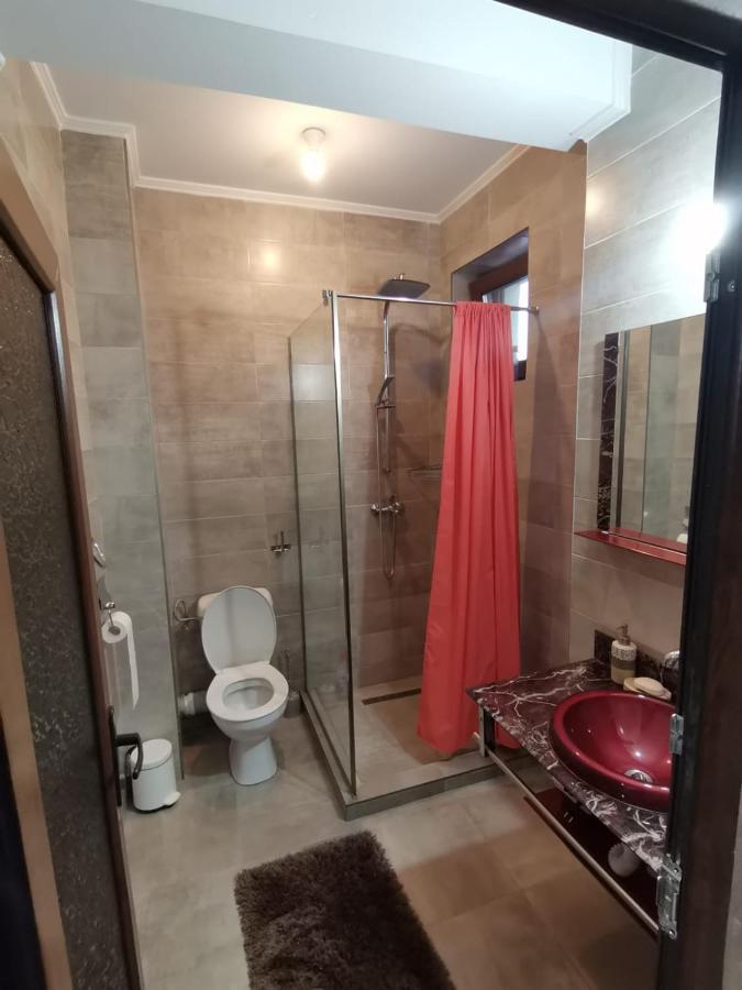 B&P Apartments Mamaia Nord 5 ナボダリ エクステリア 写真